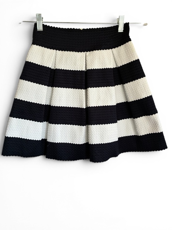 Ginger G Dresses & Skirts - Ginger G Black and White Structured Striped Pleated Skirt - Size S